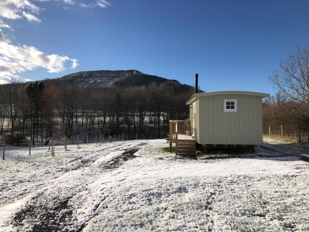 Rosemary Shepherds Hut, Clay Bank Huts Ingleby Greenhow Екстериор снимка