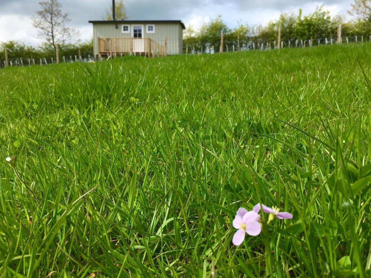 Rosemary Shepherds Hut, Clay Bank Huts Ingleby Greenhow Екстериор снимка